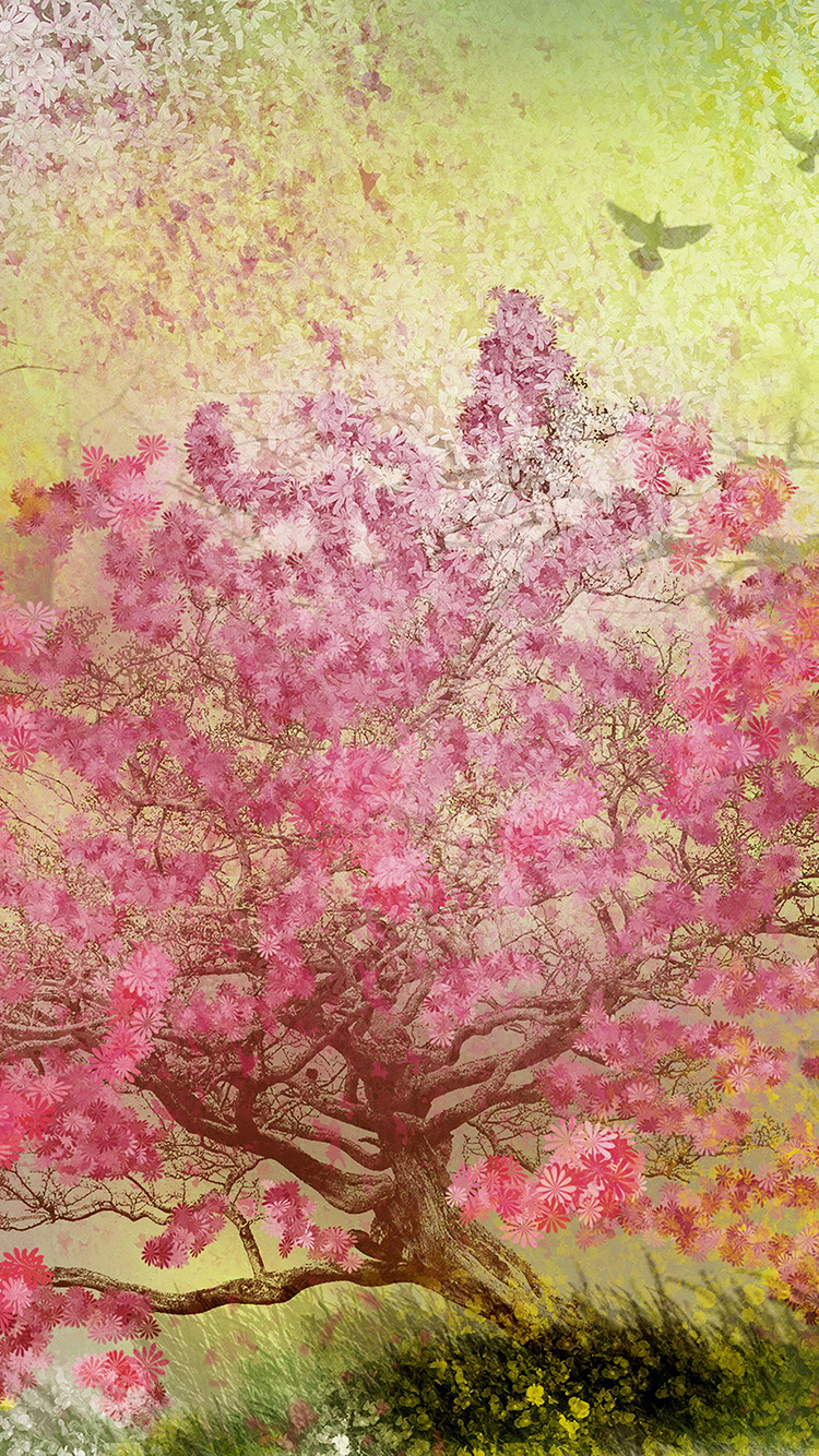 桜と鳥のイラスト iPhone6壁紙