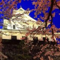 夜桜と天守閣 iPhone6壁紙