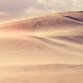 足跡のついた砂漠 iPhone6壁紙