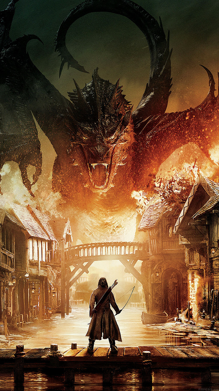 ドラゴンと対峙する戦士 iPhone6壁紙