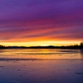 紫の夕暮れ Android壁紙