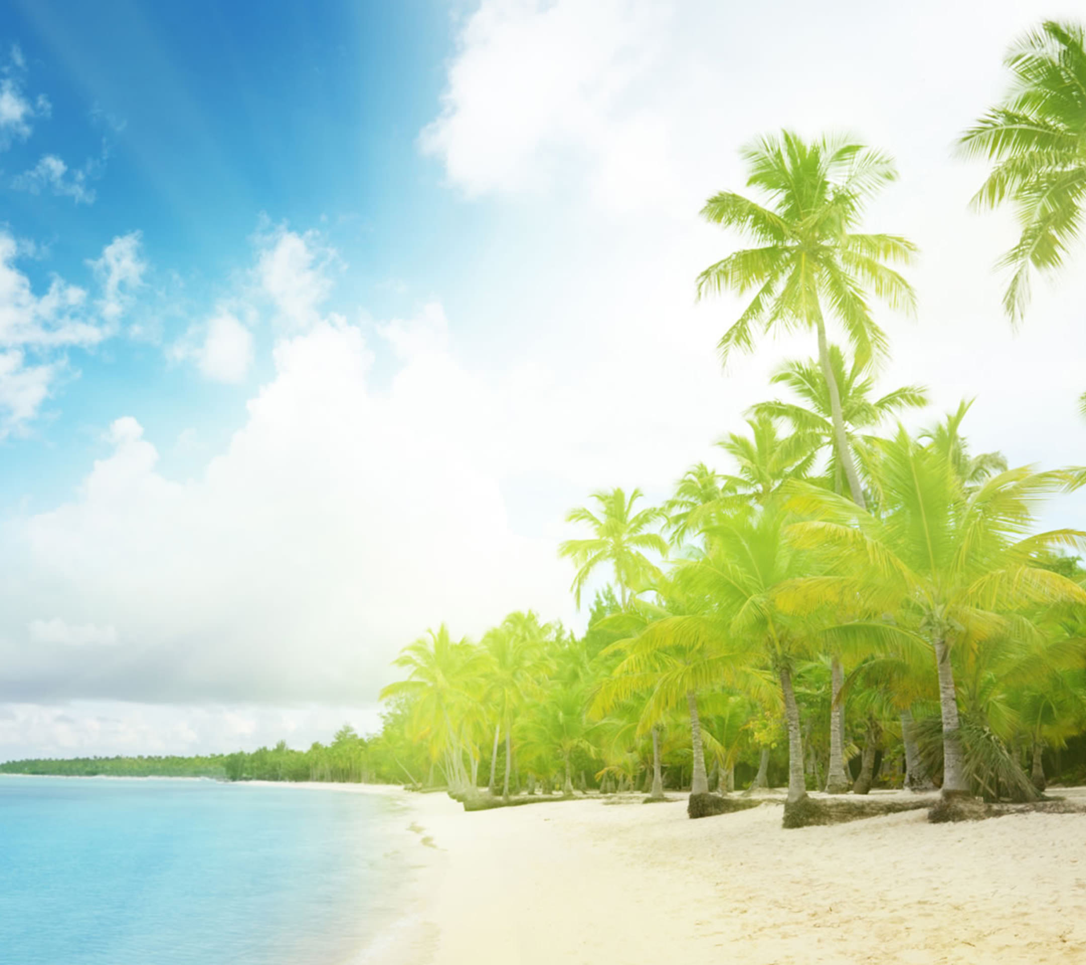 椰子の木のあるビーチ Android壁紙(2160x1920)