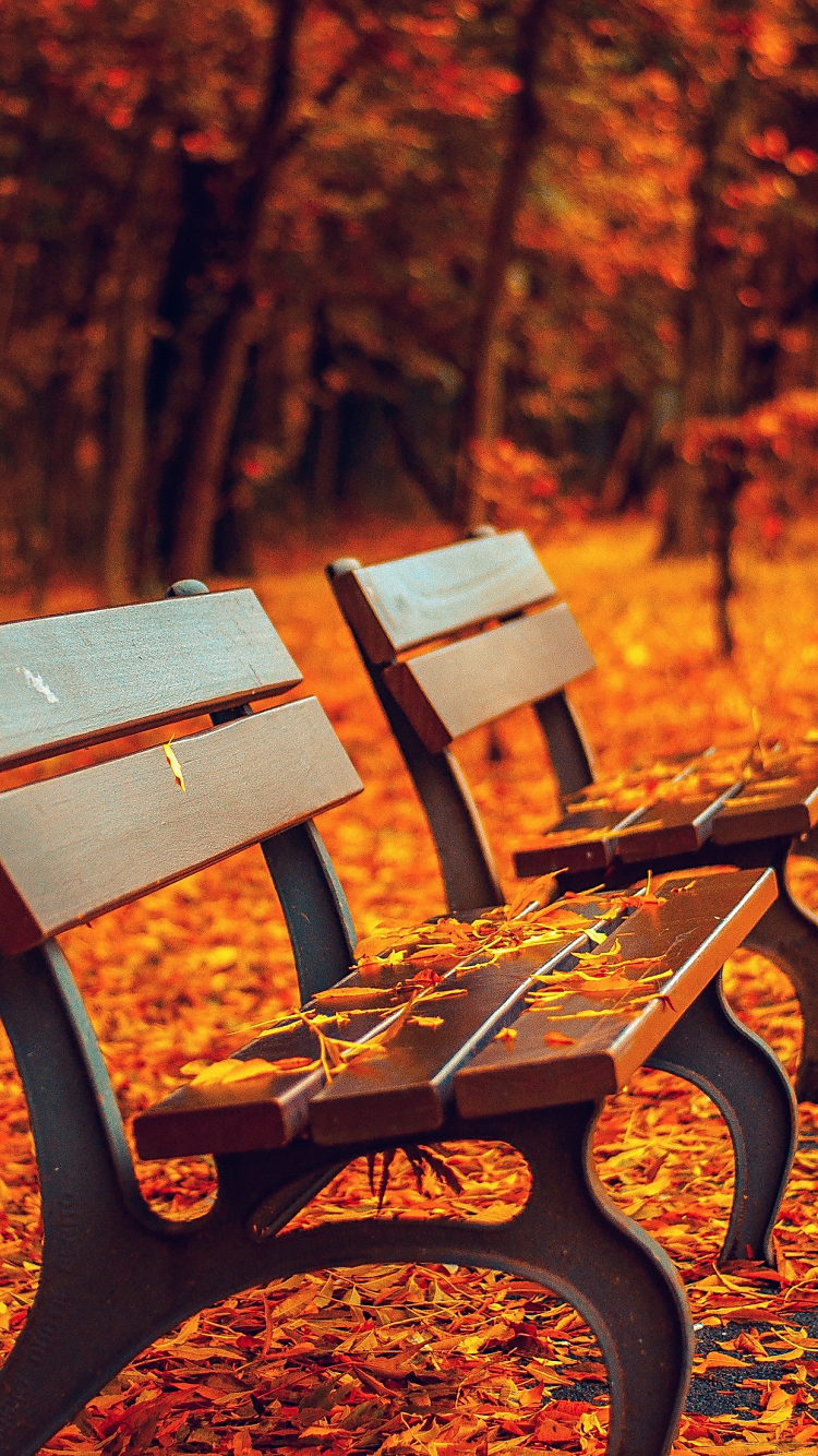 秋の公園のベンチ iPhone6壁紙