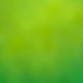 綺麗な緑のグラデーション iPhone6壁紙