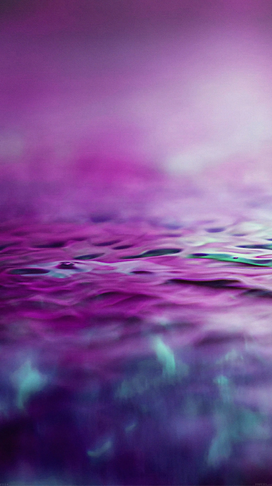 紫の水面 iPhone6壁紙