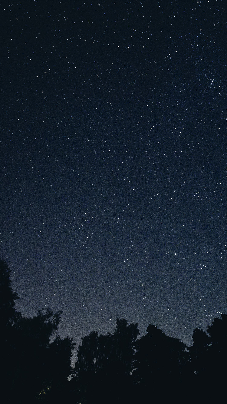 満天の星空と森 iPhone6壁紙
