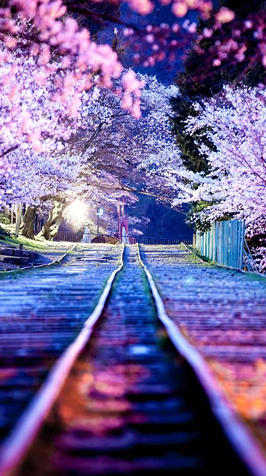 夜桜と線路 iPhone6壁紙