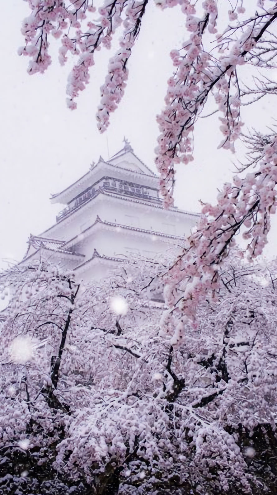 冬の江戸城 iPhone6壁紙