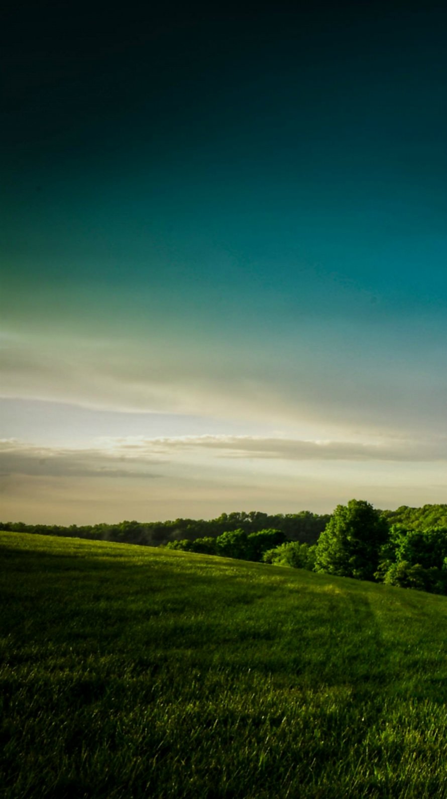 草原と青空 iPhone6壁紙